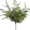 17" Fern Bush by Ashland®